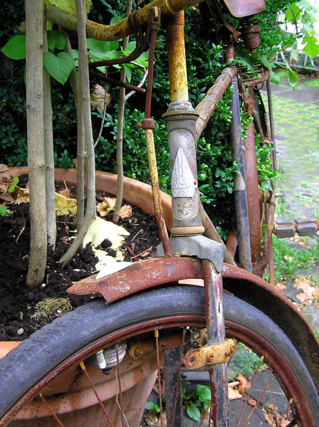 Vieux Vélo Bois Dans Parc — Photo