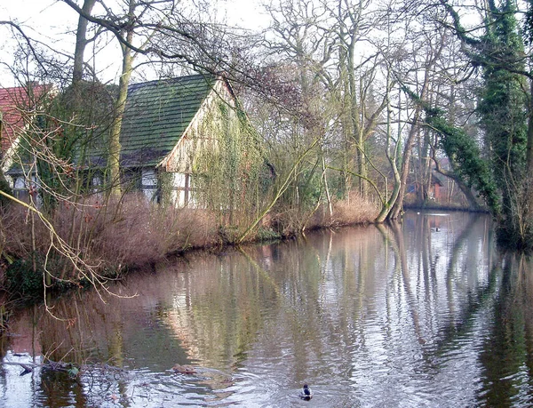 Naturskön Utsikt Över Vinterlandskapet — Stockfoto