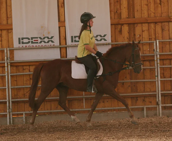 Jeune Femme Dans Chapeau Cow Boy Cheval — Photo