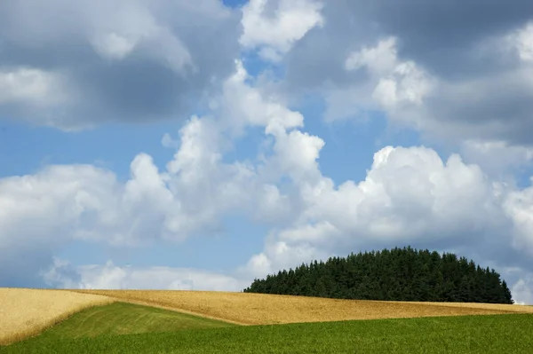 下オーストリア語で記録 Waldviertel — ストック写真