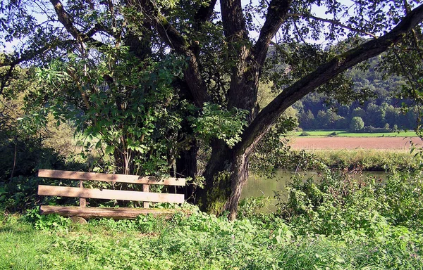 Naturskön Syn Jordbruket Selektiv Inriktning — Stockfoto