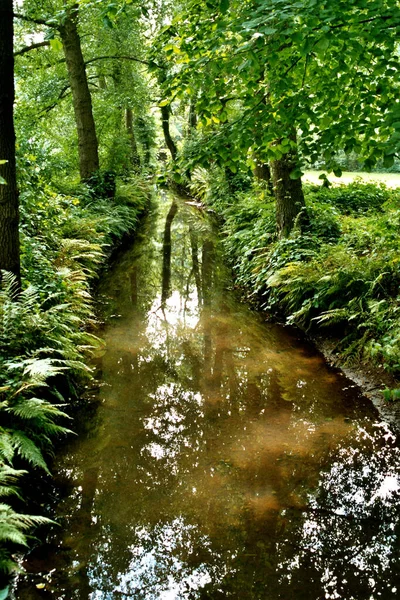 Prachtig Uitzicht Natuur Scene — Stockfoto