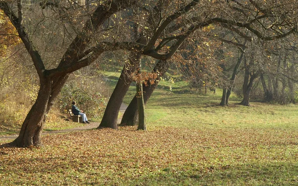 Beautiful View Nature Scene — Stock Photo, Image