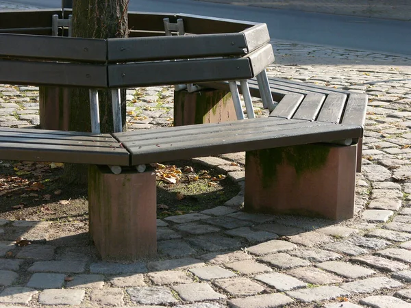 Banc Dans Parc — Photo