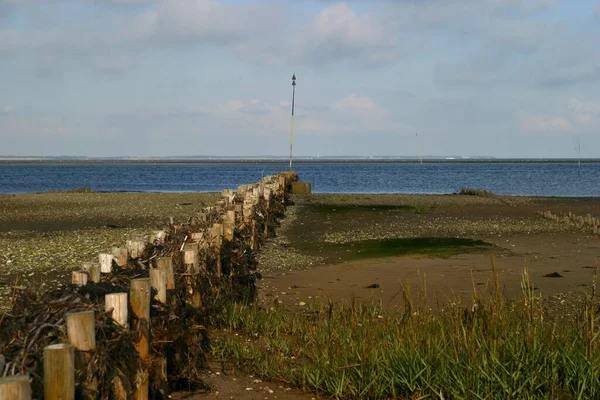 Scenisk Över Sanddyner Selektivt Fokus — Stockfoto