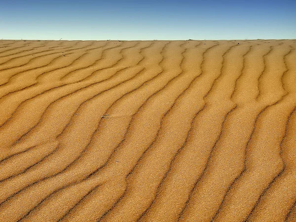 Vue Panoramique Des Dunes Mise Point Sélective — Photo