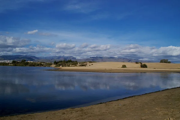 Creata Nel Novembre 2005 Nelle Dune Maspalomas Gran Canaria Causa — Foto Stock