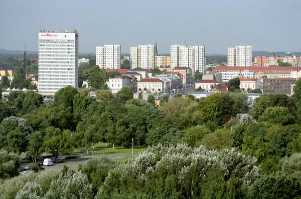 Aussichtsreiche Aussicht Auf Schöne Vögel Der Natur — Stockfoto