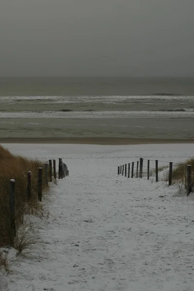 Utsikt Över Havet — Stockfoto