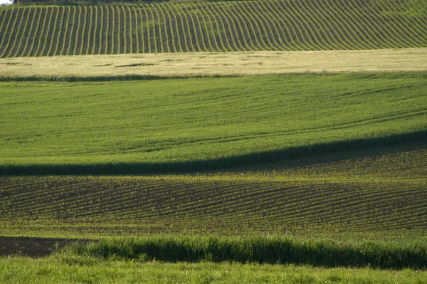 Malerischer Blick Auf Die Landschaft — Stockfoto