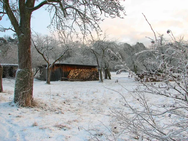 Ncoh Algumas Fotos Inverno Que Quero Mostrar Lhe Por Falta — Fotografia de Stock