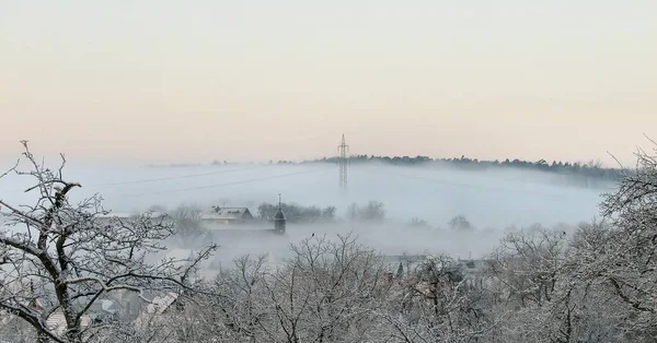 Winterlandschap Met Mist Bomen — Stockfoto