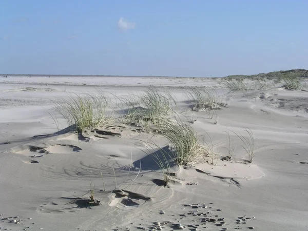 Nella Località Balneare Del Mare Del Nord — Foto Stock