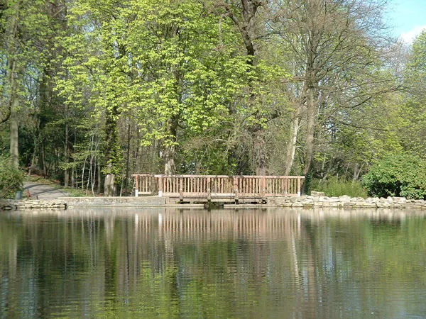 Pris Cette Photo Dans Parc Château Borbeck — Photo