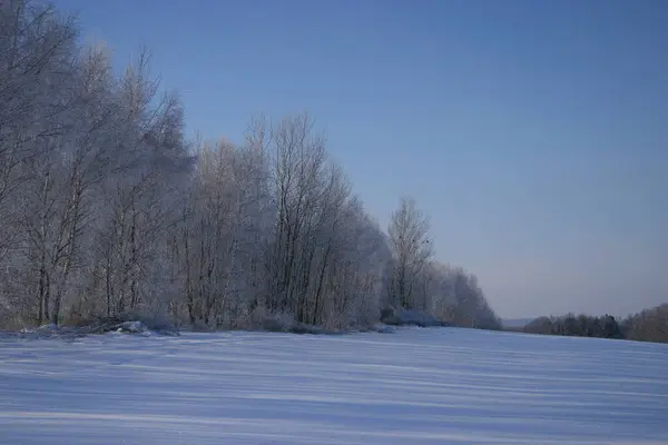 Magia Inverno Natureza Coberta Neve — Fotografia de Stock