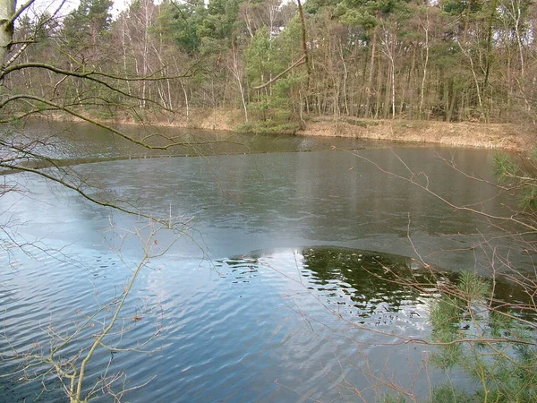 ウィンセン ルーエ近くのロットルフ近くのこの小さな釣り湖は純粋な沈黙を提供し 残りの氷の表面は反射と静かな水の端を作成し 周囲の木々は湖に秘密のようなものを与えました — ストック写真