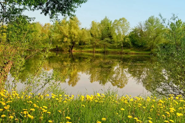 Весеннее Озеро Дневное Время — стоковое фото