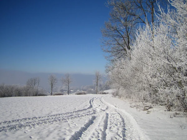在雪地里的冬季道路 — 图库照片