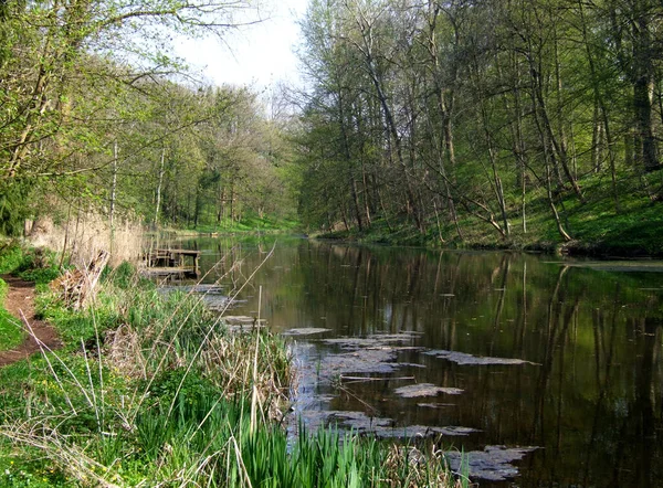 Řeka Lese — Stock fotografie