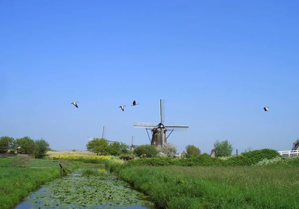 建筑风格 色彩艳丽的背景 — 图库照片