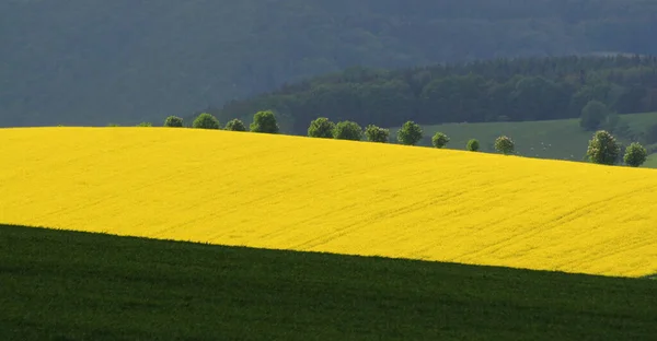 Żółty Pasek Świetle — Zdjęcie stockowe