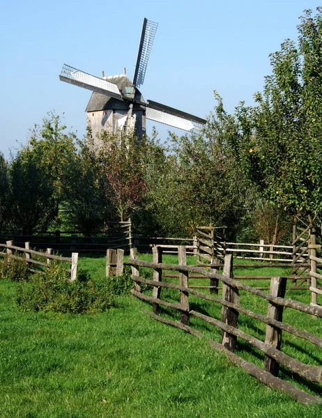 Zomer Het Platteland — Stockfoto