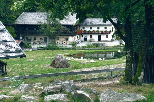 Museo All Aperto Che Stuzzica Bayr Foresta — Foto Stock