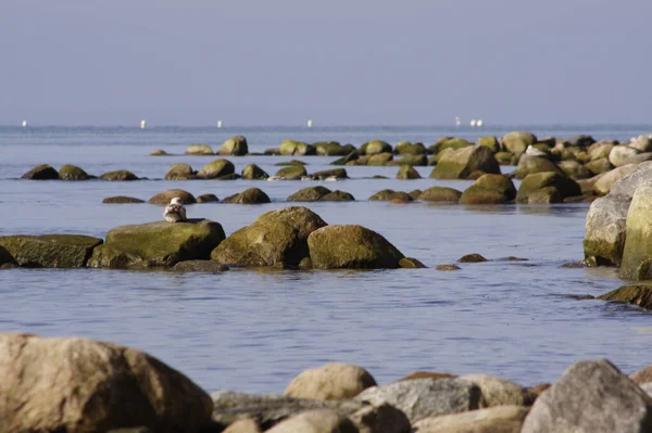 Vista Del Mar Báltico — Foto de Stock