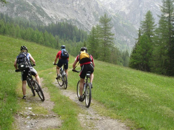 Mountainbiken Den Bergen — Stockfoto