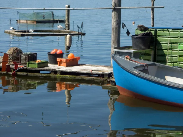 Αλιεία Εσωτερικών Υδάτων Στο Schlei — Φωτογραφία Αρχείου