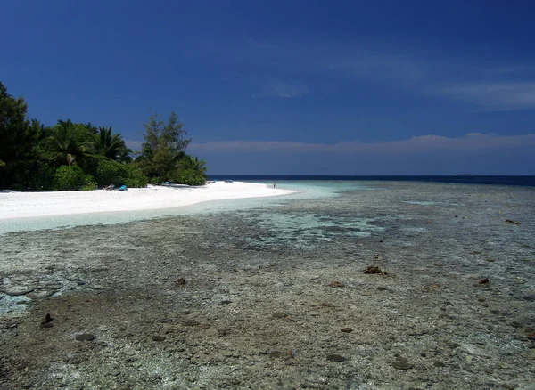 Paraíso Vacaciones Maldivas Isla — Foto de Stock