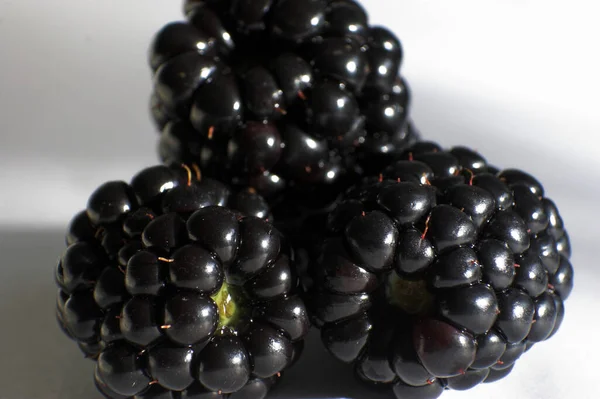 Vegetarian Food Selective Focus — Stock Photo, Image