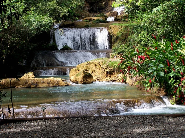 Beautiful Waterfall Nature Background — Stock Photo, Image