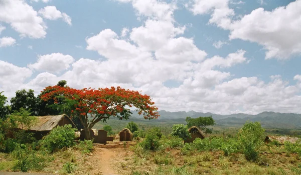 Afrikanisches Dorf Tansania Dezember — Stockfoto