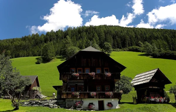 Erstaunliche Natur Auf Alpen Berge Hintergrund — Stockfoto