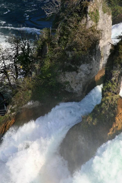 Rhine Faller Nära Schaffhausen — Stockfoto