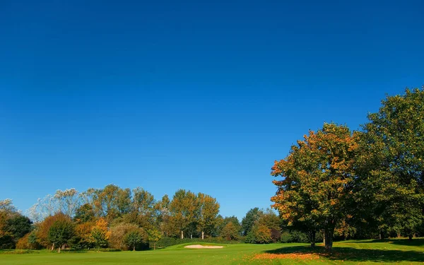 Atmosfera Autunnale Attenzione Selettiva — Foto Stock