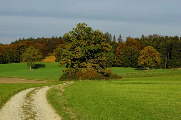 Höstlandskap Bayern — Stockfoto