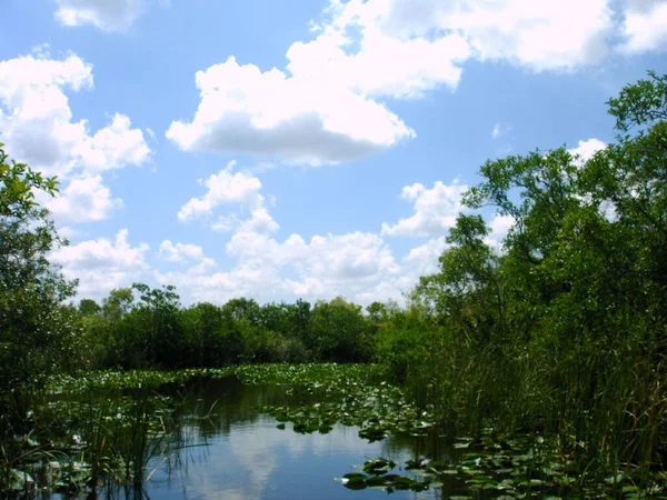Florida Přírodní Rezervace Everglades — Stock fotografie