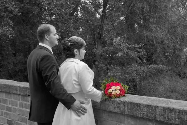 Visão Panorâmica Conceito Casamento — Fotografia de Stock