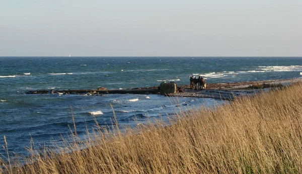 Wędkarze Morzu Bałtyckim — Zdjęcie stockowe