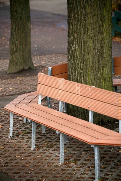 Zittend Rond Een Boom — Stockfoto