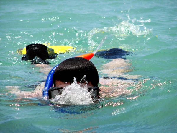 Snorkeling Sea — Stock Photo, Image