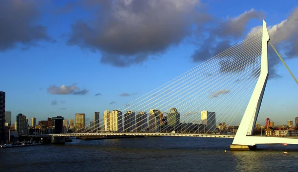 Rotterdam Limanında — Stok fotoğraf