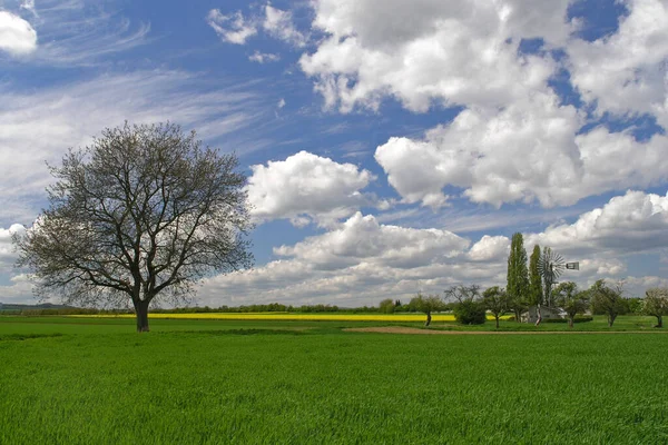 Prachtig Landschap Natuur — Stockfoto