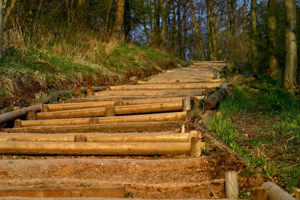 Scale Legno Nel Bosco — Foto Stock