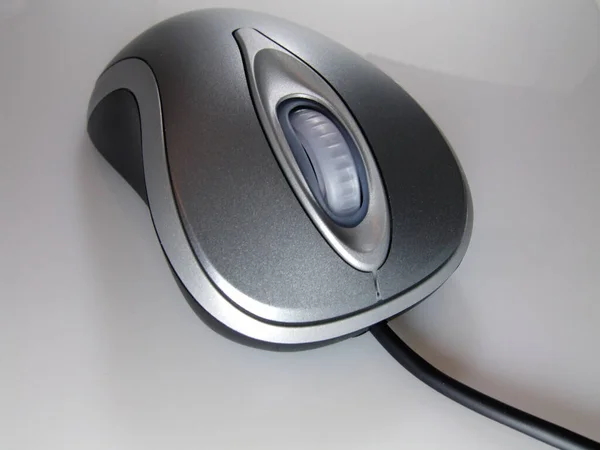 Computer Mouse Scroll Mouse — Stock Photo, Image