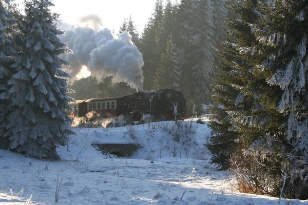 Harz Carrefour Routier Entre Sorge Benneckenstein — Photo