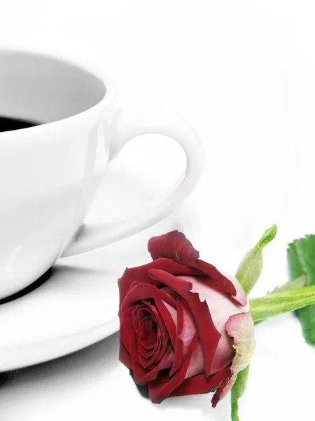 バラとコーヒーカップ — ストック写真