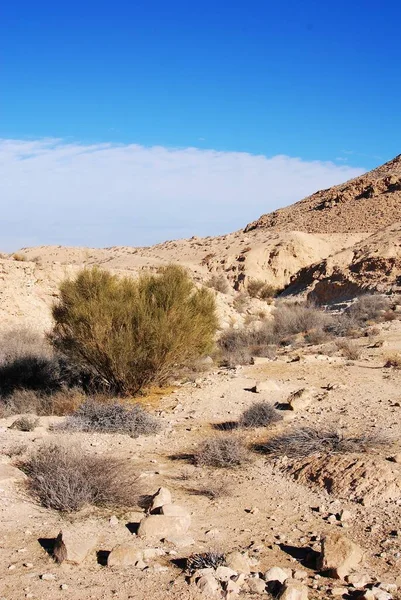 Wadi Negev Izrael — Stock fotografie